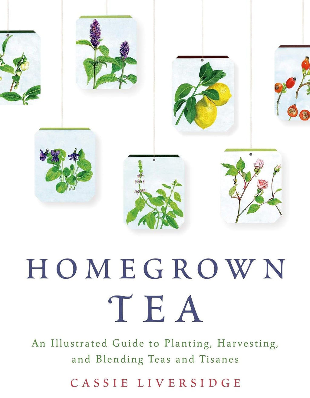 Homegrown Tea: an Illustrated Guide to Planting, Harvesting, and Blending Teas and Tisanes
