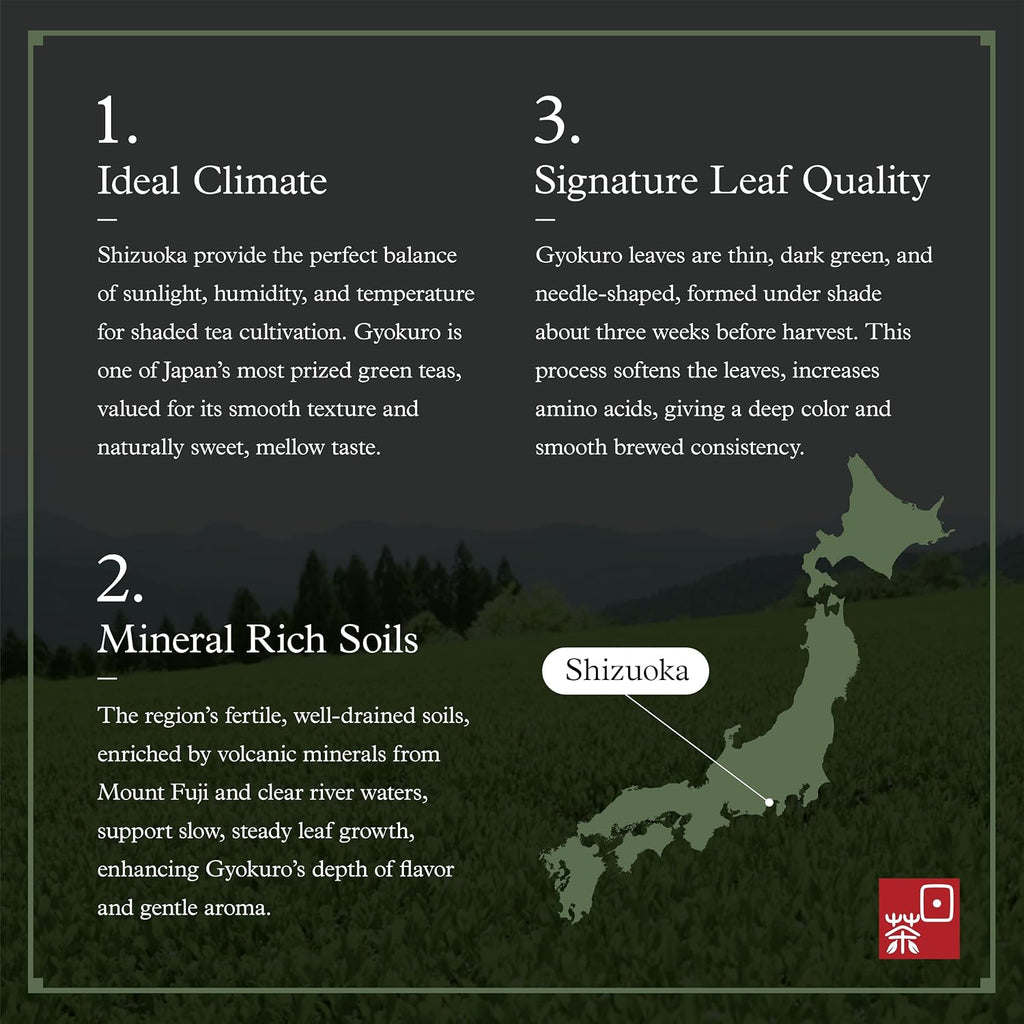 Organic Gyokuro Green Tea – Shade Grown Japanese Loose Leaf Green Tea – Smooth Umami-Rich Aromatic Organic Tea from Japan, 100G/3.5Oz.