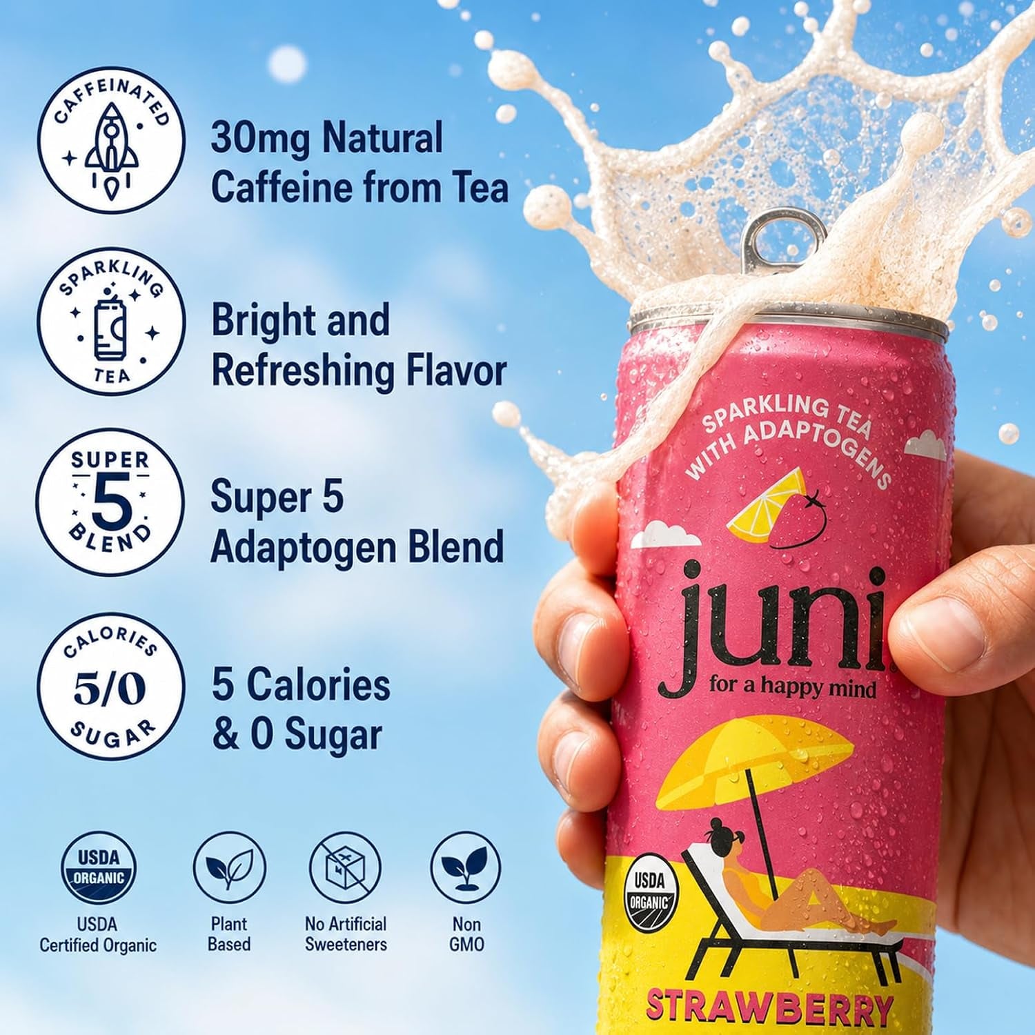 Sparkling Adaptogen Drink with Ashwagandha, Lion’S Mane & Reishi Mushrooms, Green Tea for Focus, Zero Sugar, Strawberry, Watermelon, Lemonade Iced Tea, Variety Pack, 12-Pack