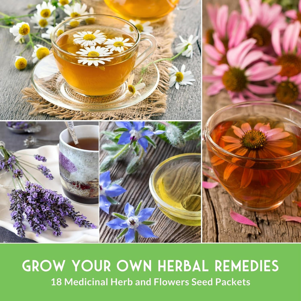 Medicinal Herb Seeds for Planting, 18-Variety Heirloom Non-Gmo Pack | Seed Collection for Herbal Teas, Tinctures, and Home Apothecary Gardens -