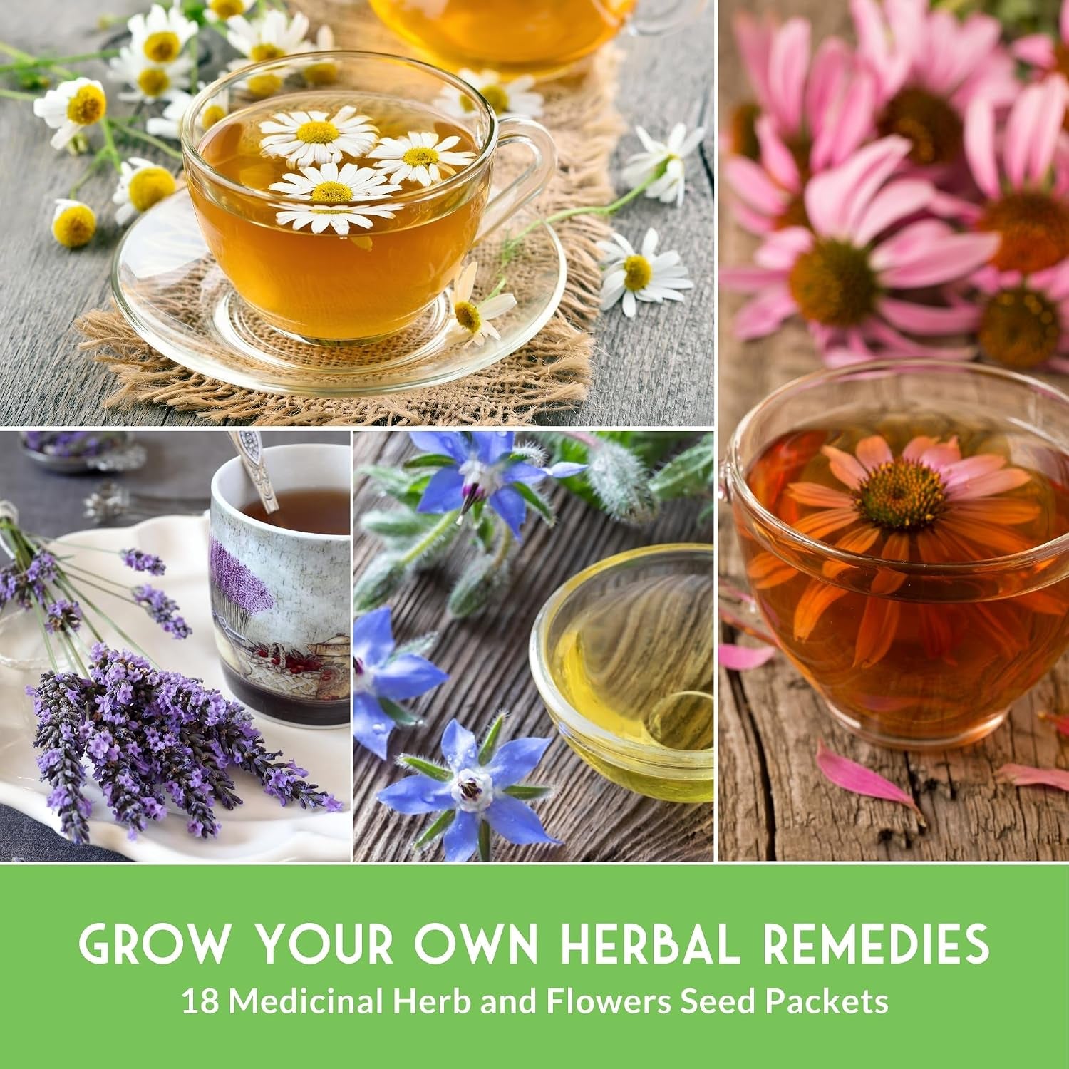 Medicinal Herb Seeds for Planting, 18-Variety Heirloom Non-Gmo Pack | Seed Collection for Herbal Teas, Tinctures, and Home Apothecary Gardens -