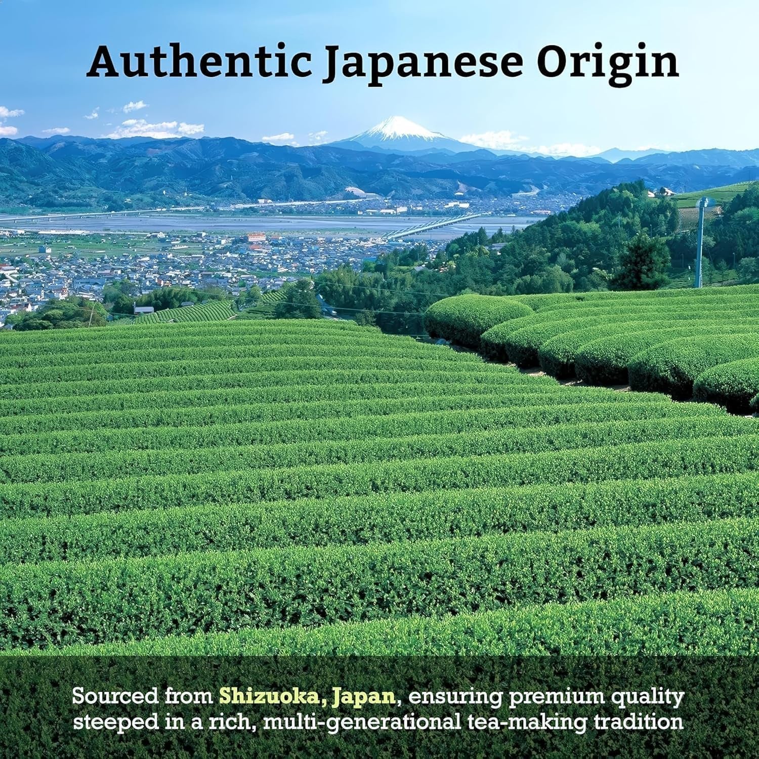 Japanese Hojicha Roasted Green Tea Loose Leaf 2.0 Oz (57 G) Pack of 3