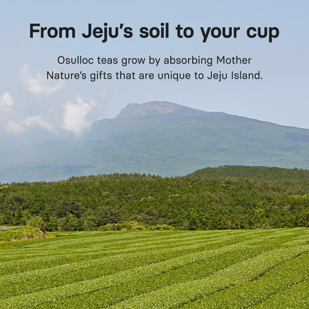 Pure Green Tea (Mild, Clean Tasting Aroma), USDA Organic, Premium Blended Tea from Jeju, Tea Bag Series 20 Count