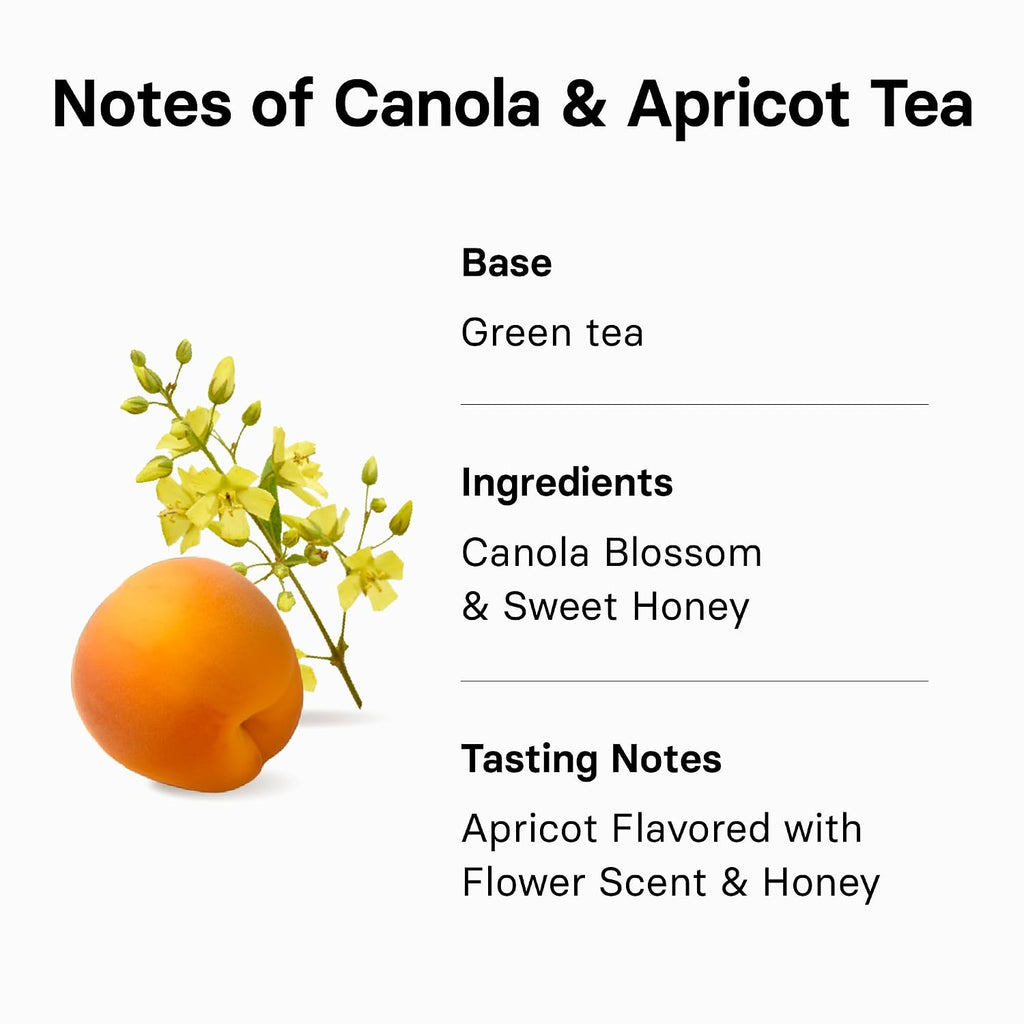 Canola & Apricot Tea (Aromatic Canola Flower & Apricot), Premium Blended Tea from Jeju, Tea Bag Series 20 Count