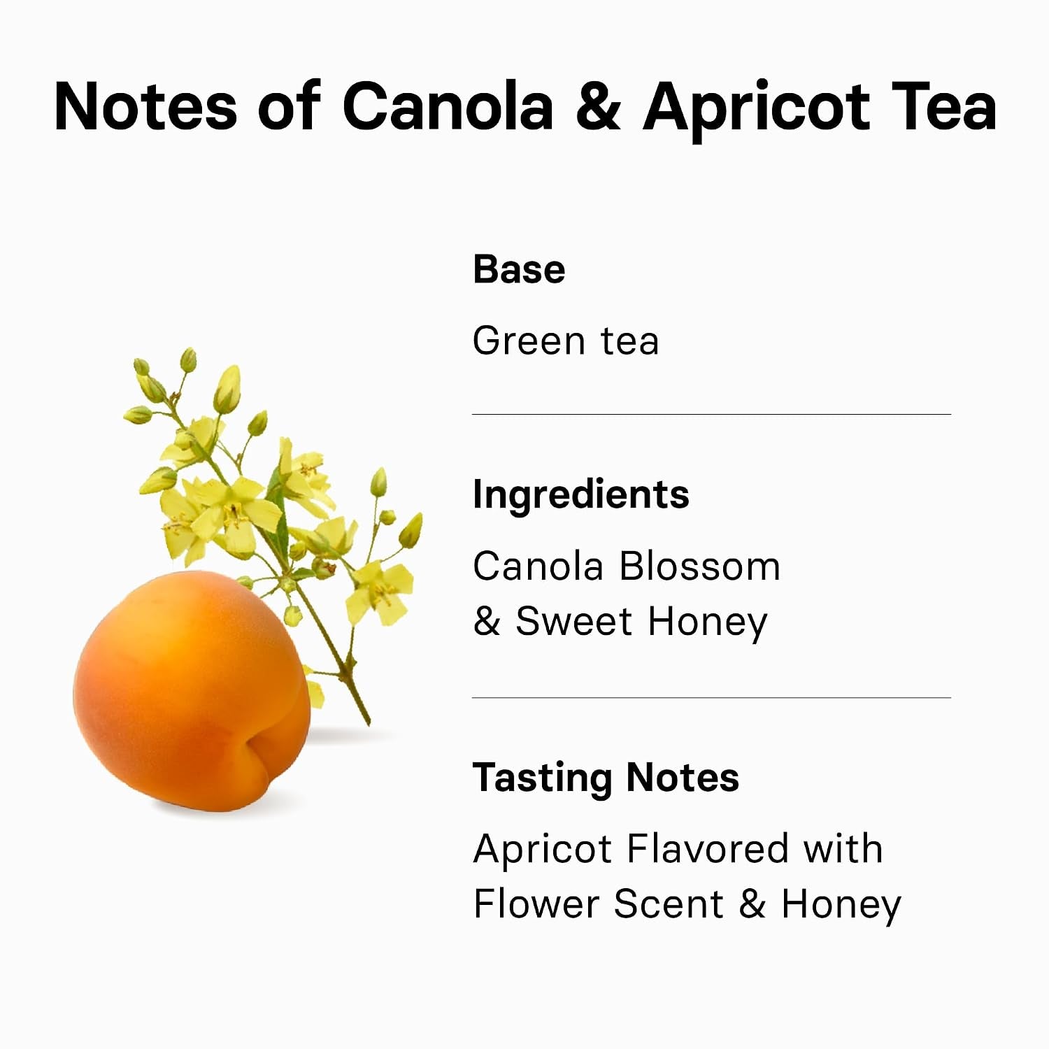 Canola & Apricot Tea (Aromatic Canola Flower & Apricot), Premium Blended Tea from Jeju, Tea Bag Series 20 Count