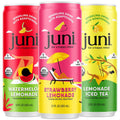 Sparkling Adaptogen Drink with Ashwagandha, Lion’S Mane & Reishi Mushrooms, Green Tea for Focus, Zero Sugar, Strawberry, Watermelon, Lemonade Iced Tea, Variety Pack, 12-Pack