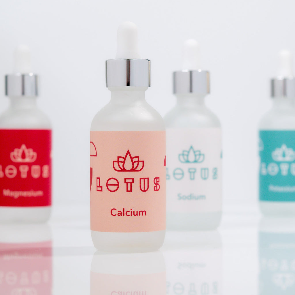 Lotus Coffee Brew Water Kit