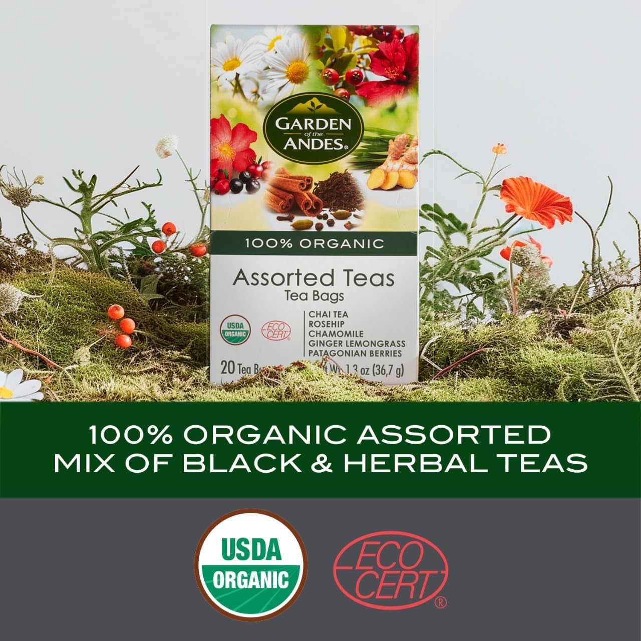 Assorted Herbal Teas – USDA Organic, Kosher – 6 Boxes X 20 Bags