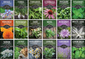 Medicinal Herb Seeds for Planting, 18-Variety Heirloom Non-Gmo Pack | Seed Collection for Herbal Teas, Tinctures, and Home Apothecary Gardens -