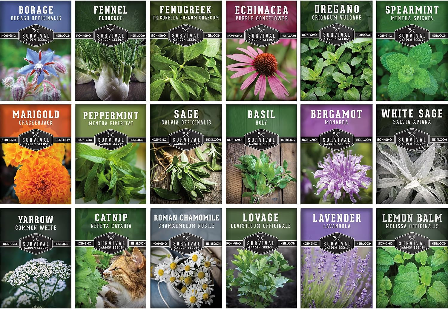 Medicinal Herb Seeds for Planting, 18-Variety Heirloom Non-Gmo Pack | Seed Collection for Herbal Teas, Tinctures, and Home Apothecary Gardens -