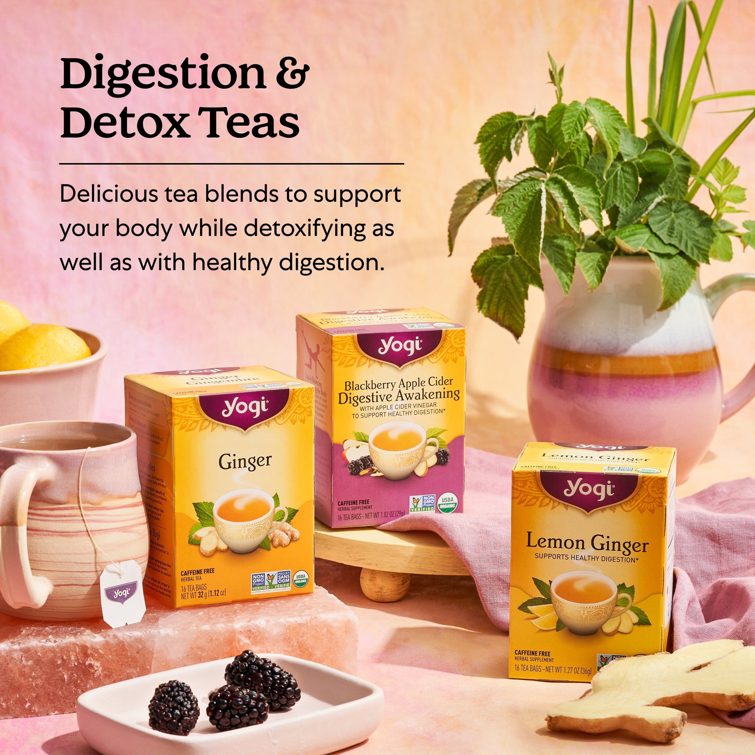 Tea Detox and Digest Variety Pack, Herbal Tea Bags, 6 Boxes of 16