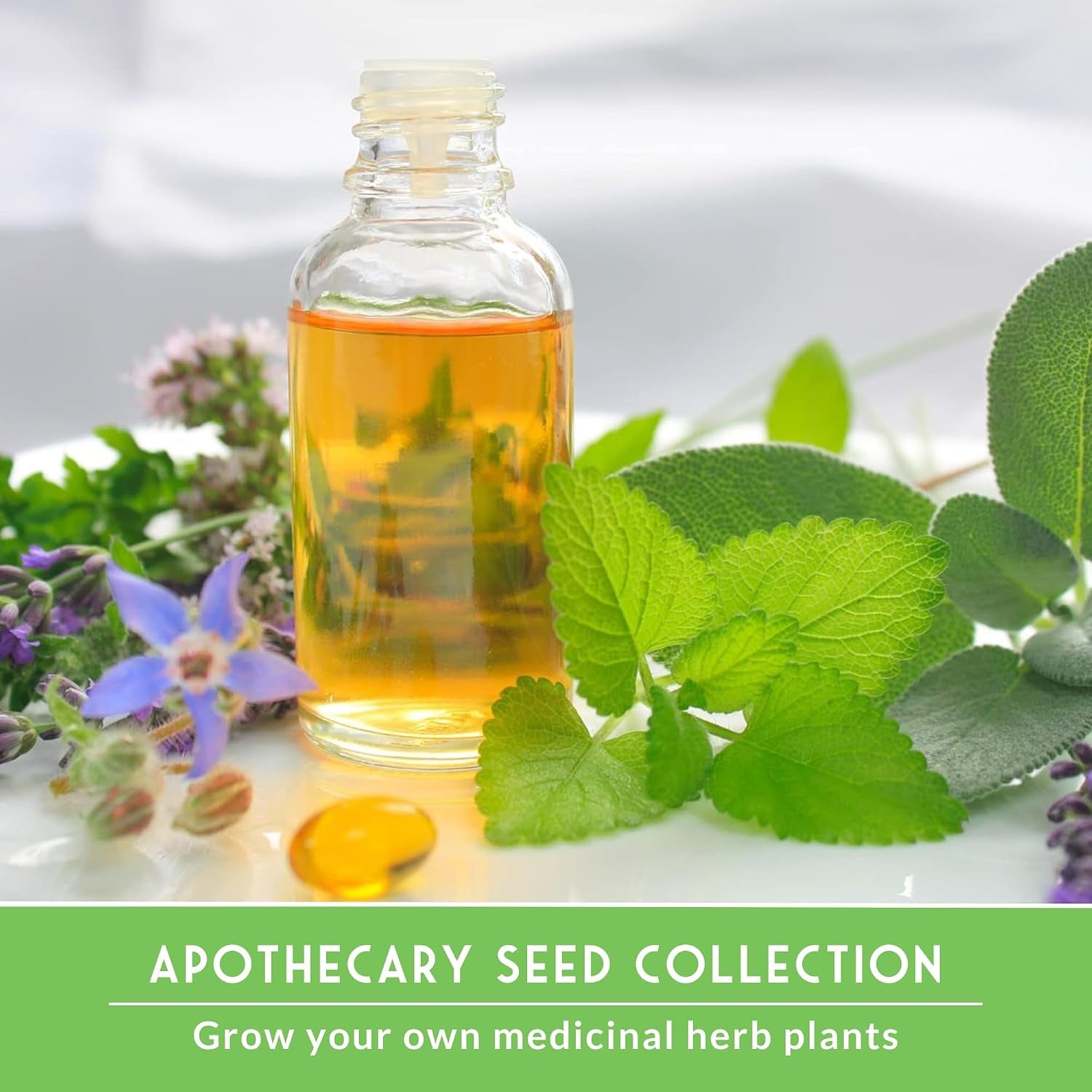 Medicinal Herb Seeds for Planting, 18-Variety Heirloom Non-Gmo Pack | Seed Collection for Herbal Teas, Tinctures, and Home Apothecary Gardens -